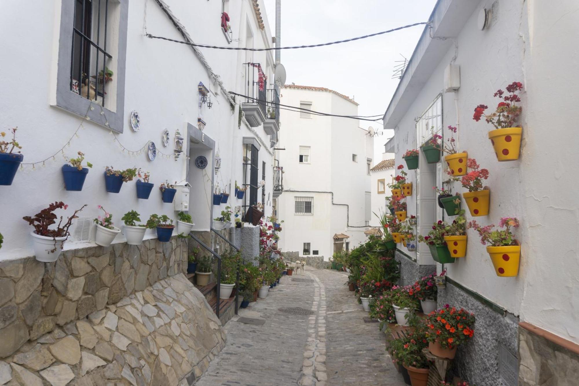 Casa Plaza Alta